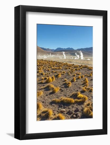 El Tatio Geysers in Atacama Desert-Daniele Falletta-Framed Photographic Print