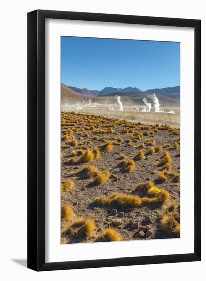 El Tatio Geysers in Atacama Desert-Daniele Falletta-Framed Photographic Print