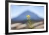 El Teide-Ben Heine-Framed Photographic Print