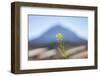 El Teide-Ben Heine-Framed Photographic Print