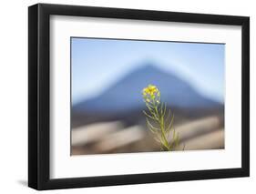 El Teide-Ben Heine-Framed Photographic Print