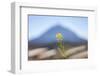 El Teide-Ben Heine-Framed Photographic Print