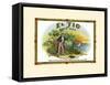 El Tio De Puerto Rico-null-Framed Stretched Canvas