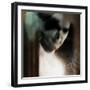 El Valiente (The Brave Guy) Remix-Gideon Ansell-Framed Photographic Print