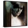El Valiente (The Brave Guy) Remix-Gideon Ansell-Framed Stretched Canvas