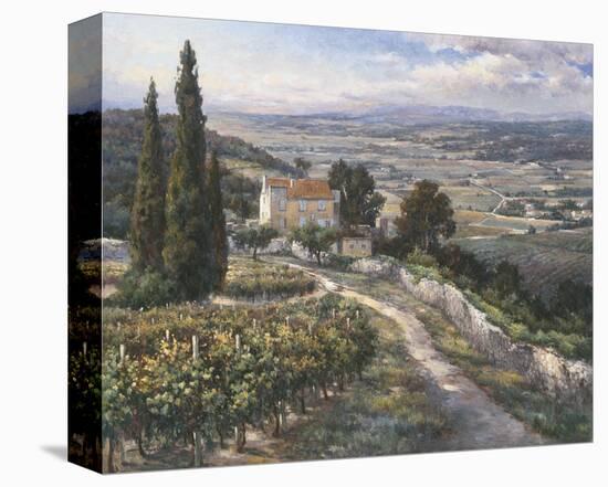 El Valle-A^ J^ Casson-Stretched Canvas