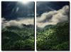 El Yunque National Park-Andrea Costantini-Stretched Canvas