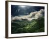 El Yunque National Park-Andrea Costantini-Framed Photographic Print