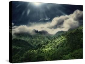 El Yunque National Park-Andrea Costantini-Stretched Canvas