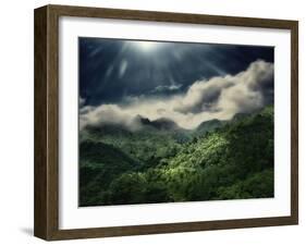 El Yunque National Park-Andrea Costantini-Framed Photographic Print