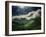 El Yunque National Park-Andrea Costantini-Framed Photographic Print