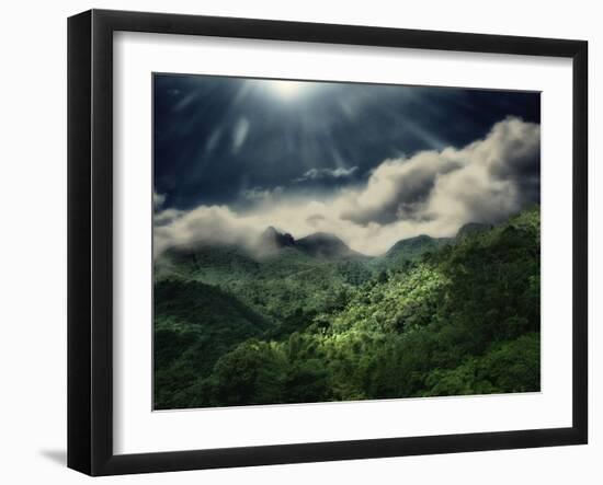 El Yunque National Park-Andrea Costantini-Framed Photographic Print