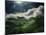 El Yunque National Park-Andrea Costantini-Mounted Photographic Print