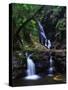 Elabana Falls-Bill Ross-Stretched Canvas