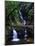 Elabana Falls-Bill Ross-Mounted Photographic Print
