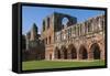 Elaborate Carved Stone Arches, 12th Century St. Mary of Furness Cistercian Abbey, Cumbria, England-James Emmerson-Framed Stretched Canvas