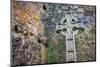 Elaborate Celtic cross marks a grave at a historic Irish church, County Mayo, Ireland.-Betty Sederquist-Mounted Photographic Print