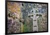 Elaborate Celtic cross marks a grave at a historic Irish church, County Mayo, Ireland.-Betty Sederquist-Framed Photographic Print