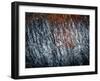 Elaborate Confusion-Valda Bailey-Framed Photographic Print