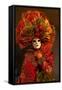 Elaborate Costume for Carnival Festival, Venice, Italy-Jaynes Gallery-Framed Stretched Canvas