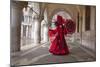 Elaborate Costume for Carnival Festival, Venice, Italy-Jaynes Gallery-Mounted Photographic Print