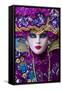 Elaborate Costume for Carnival Festival, Venice, Italy-Jaynes Gallery-Framed Stretched Canvas