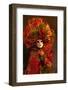 Elaborate Costume for Carnival Festival, Venice, Italy-Jaynes Gallery-Framed Photographic Print