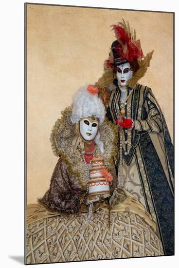 Elaborate Costume for Carnival, Venice, Italy-Darrell Gulin-Mounted Photographic Print