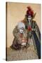 Elaborate Costume for Carnival, Venice, Italy-Darrell Gulin-Stretched Canvas