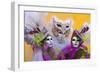 Elaborate Costumes for Carnival Festival, Venice, Italy-Jaynes Gallery-Framed Photographic Print