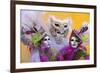 Elaborate Costumes for Carnival Festival, Venice, Italy-Jaynes Gallery-Framed Photographic Print