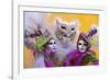 Elaborate Costumes for Carnival Festival, Venice, Italy-Jaynes Gallery-Framed Photographic Print