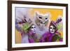 Elaborate Costumes for Carnival Festival, Venice, Italy-Jaynes Gallery-Framed Photographic Print
