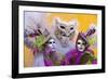 Elaborate Costumes for Carnival Festival, Venice, Italy-Jaynes Gallery-Framed Photographic Print