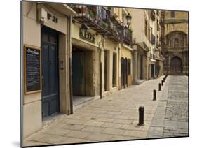 Elaborate door of a cathedral, Logrono, La Rioja, Spain-Janis Miglavs-Mounted Photographic Print