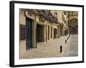 Elaborate door of a cathedral, Logrono, La Rioja, Spain-Janis Miglavs-Framed Photographic Print