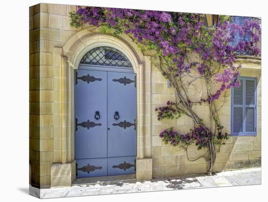 Elaborate Entrance-Assaf Frank-Stretched Canvas