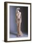 Elaborate Gown, Head Piece and Pacelle Shoes Worn by Marilyn Monroe (1926-1962) , 1954-null-Framed Giclee Print