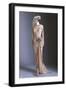 Elaborate Gown, Head Piece and Pacelle Shoes Worn by Marilyn Monroe (1926-1962) , 1954-null-Framed Giclee Print