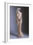 Elaborate Gown, Head Piece and Pacelle Shoes Worn by Marilyn Monroe (1926-1962) , 1954-null-Framed Giclee Print