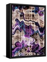 Elaborate-Ruth Palmer-Framed Stretched Canvas