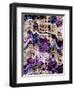 Elaborate-Ruth Palmer-Framed Art Print