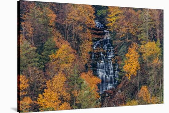 Elakala Falls in Blackwater Falls State Park in Davis, West Virginia, USA-Chuck Haney-Stretched Canvas