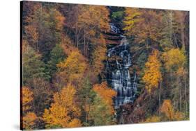 Elakala Falls in Blackwater Falls State Park in Davis, West Virginia, USA-Chuck Haney-Stretched Canvas