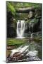 Elakala Falls West I-Alan Majchrowicz-Mounted Photographic Print