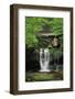 Elakala Falls West II-Alan Majchrowicz-Framed Photographic Print