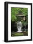 Elakala Falls West II-Alan Majchrowicz-Framed Photographic Print