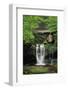 Elakala Falls West II-Alan Majchrowicz-Framed Photographic Print