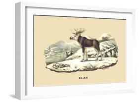 Elan-E.f. Noel-Framed Art Print