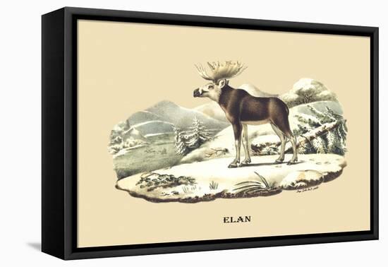 Elan-E.f. Noel-Framed Stretched Canvas